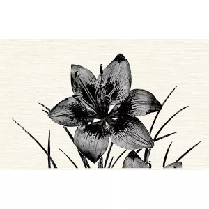Декор Нефрит-Керамика Пиано черный 09-03-04-08-11 40х25 см