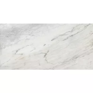Керамический гранит Gresse Ellora ashy серый 60х120 см